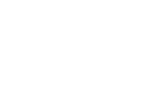 TOYODA GOSEI Czech