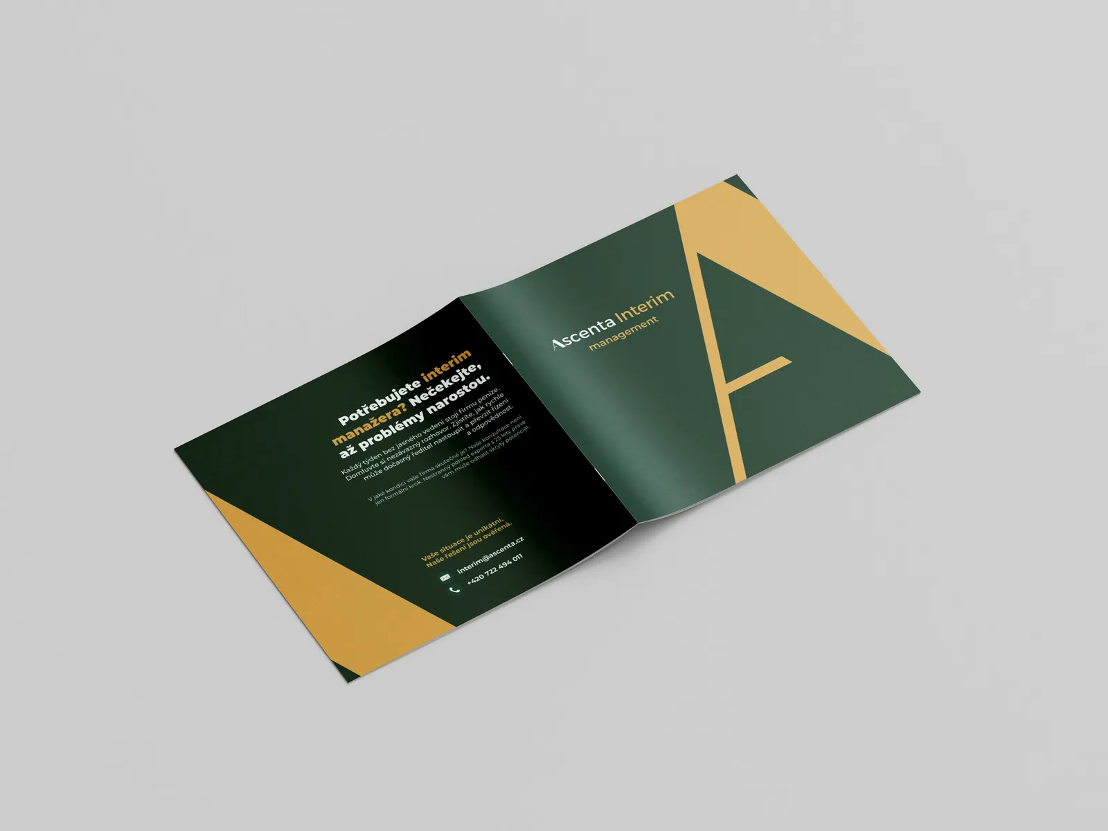 Ascenta Interim – katalog